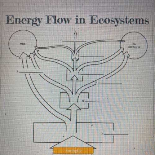 Drag and drop these terms in the correct spots on the flow energy.

Cellular respiration 
Secondar