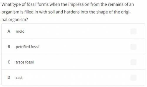What type of fossil forms when the impression from the remains of an organism is filled in with soi