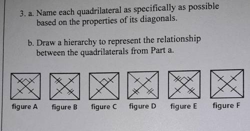 3. a. Name each quadrilateral as specifically as possible based on the properties of its diagonals.