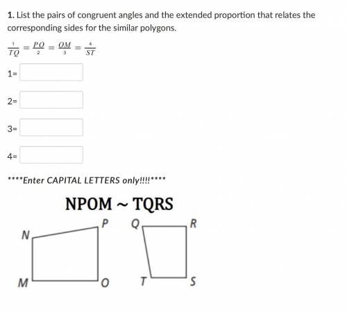 List the pairs of congruent angles and the extended proportion that relates the corresponding sides