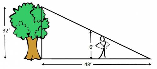 A 32-foot tall tree casts a shadow that is 48 feet long. How far away from the tree is a 6-foot tal