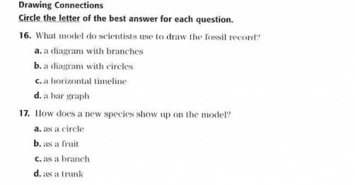 The question is in the picture , pls help i have 40 mins left !!