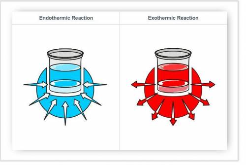Identify each chemical reaction as endothermic or exothermic based on its description.

Drag each