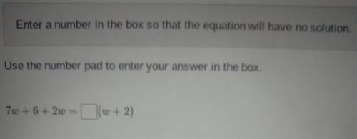 Enter a number in the box so that the equation will have no solution.