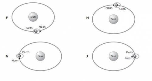 Which model below shows the positions of the Sun, Moon, and Earth that have the greatest effect on o