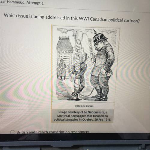 Please help me with this

Which issue is being addressed in this WWI Canadian political cartoon?
A