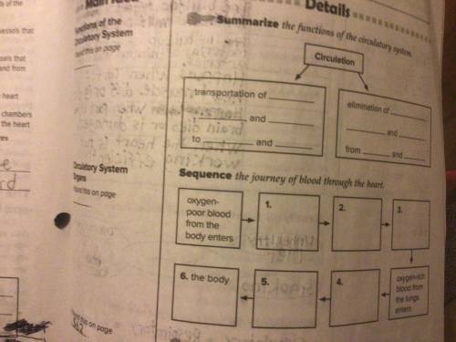 Please help, will give the person who answers all these questions 20 points and will mark brainiest
