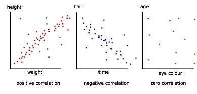 Which type of correlation does this scatterplot show?