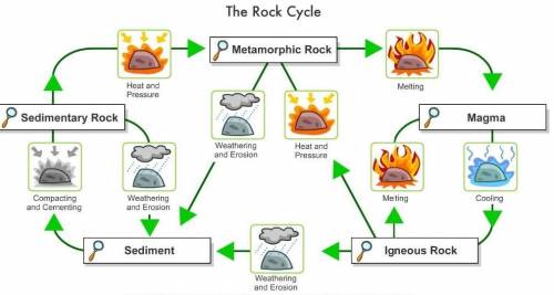 draw a diagram of the phase of the rock cycle in which the whale jawbone was involved. The diagram s