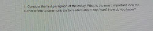 1. Consider the first paragraph of the essay. What is the most important idea the author wants to c