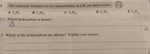 Which of the hydrocarbons are alkanes? Explain your answer