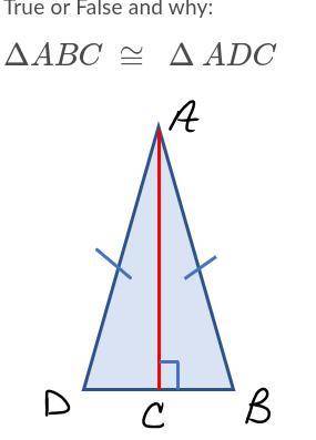 Please help me :) triangles, and i need help Brainliest to correct answers!!! NO LINKS