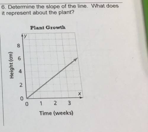 Determine the slope of the line. what does it represent about the plant?