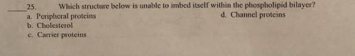 Please help me with this bio question (no links)