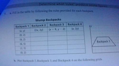 WILL MARK BRAINLIEST PLS HELP. Fill in the table by following the rules provided for each backpack.