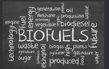 Evaluative writing about biofuel