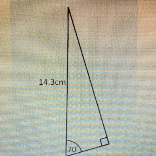 Find the length of the shortest side of the triangle. Give your answer in centimetres to one decima