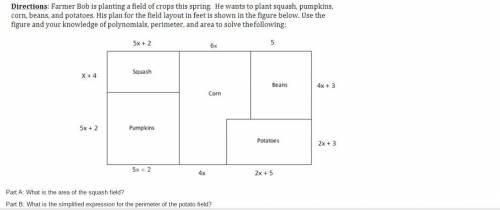 farmer bob is planting a field of crops this spring. He wants to plant squash pumpkins corn beans a