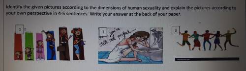 Dimension of human sexuality

Explain the picture according to your own perspective1.Biological Di