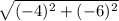 \sqrt{(-4)^2+(-6)^2}