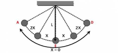 Which of the following is NOT TRUE for an oscillating pendulum as shown in figure?

A 
The law inv