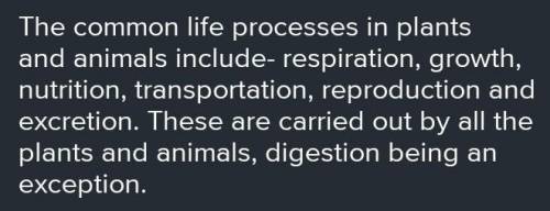 Name at least four processes that are common to most living organisms