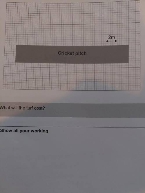 A club wants to returf a cricket pitch. The scale plan below shows the pitch.

Turf costs £2.44 pe