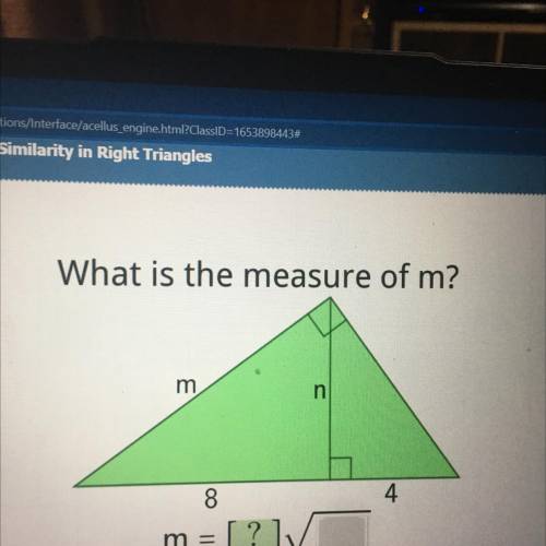 I need help fast please I don’t understand this and I’ve been struggling for a while. Can I get a b