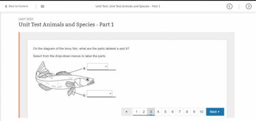 On the diagram of the bony fish, what are the parts labeled a and b? Select from the drop-down menu