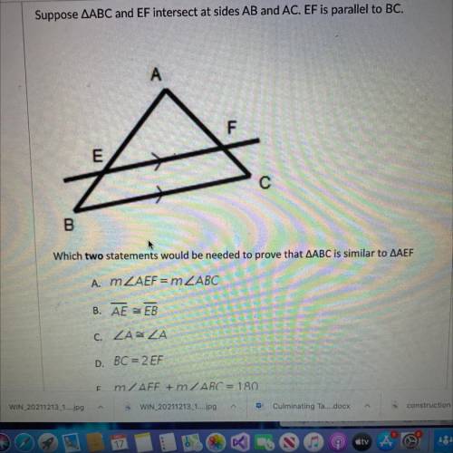 Please help me

Which two states would be needed to probe that Triangle ABC is similar to triangle