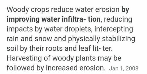 How does the vegetation prevent soil erosion?