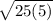 \sqrt{25(5)}