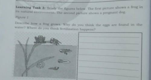 Figure 1

Describe how a frog grows. Why do you think the eggs are found in the water? Where do yo