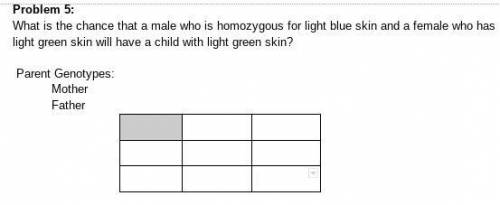 Plss help with punnett square and NO LINKS PLS
use B= light blue 
b= light green