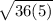 \sqrt{36(5)}