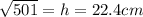 \sqrt{501}  = h = 22.4cm