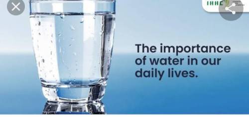 State importance of water in our life.