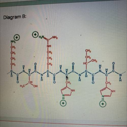 What macromolecule is shown in this diagram?? I attached photo
Plz help!