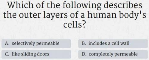 Can someone help me figure out this question