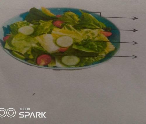 Label the parts of the platted salad