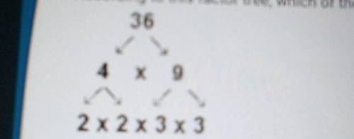 The answer was B

according to this factor tree, which of the following statement is true?A) the n