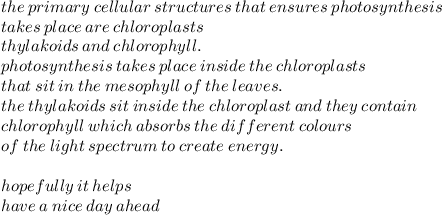 the \: primary \: cellular \: structures \: that \: ensures \: photosynthesis \ \\  takes \: place \: are \: chloroplasts \\ thylakoids \: and \: chlorophyll. \\ photosynthesis \: takes \: place \: inside \: the \: chloroplasts \\  that \: sit \: in \: the \: mesophyll \: of \: the \: leaves. \\ the \: thylakoids \: sit \: inside \: the \: chloroplast \: and \: they \: contain \\ chlorophyll \: which \: absorbs \: the \: different \: colours \\ of \: the \: light \: spectrum \: to \: create \: energy. \\  \\ hopefully \:it \: helps \\ have \: a \: nice \: day \: ahead
