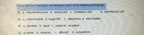 (Anatomy) Anyone know this??