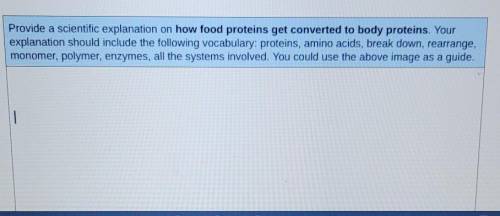 How food proteins get converted to body proteins?