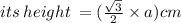 its \: height \:  = ( \frac{ \sqrt{3} }{2}  \times a)cm