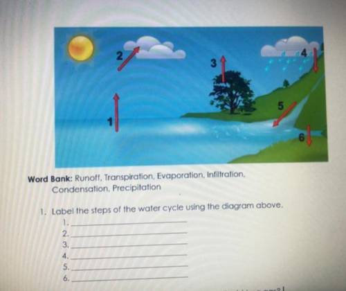 Label the steps of the water cycle