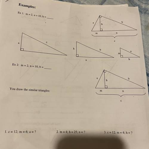 Triangle equation Worksheet
Help ASAP!