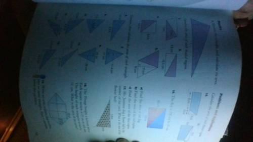 I need help plz its like triangles and area thers 17 questions