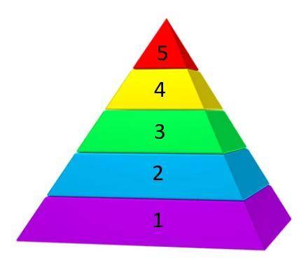 Match the correct need to the level of Maslow's Hierarchy of Needs.

Question 1 options:
Feelings