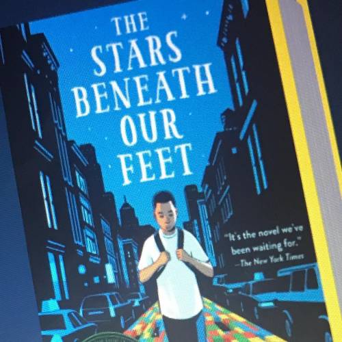❗️⚠️There is a book called “The Stars Beneath Our Feet” and I really need the summary for chapter 2